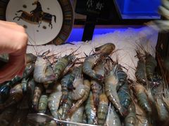 -加餐海鲜自助(宝龙一城店)