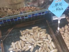 -天盛海鲜烧烤大排档·本地小海鲜·牟平腿穗子(幸福店)