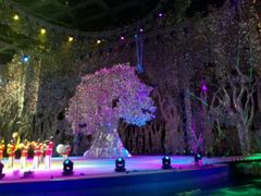android_upload_pic-灵玲国际马戏城