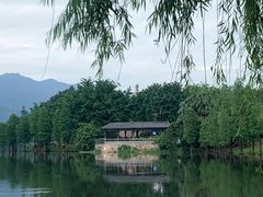 -飞来湖湿地公园