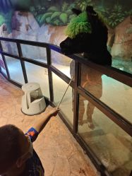 -酷嗒动物文化乐园(cutezoo西溪乐天城店)