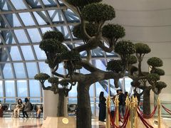 -曼谷素万那普国际机场