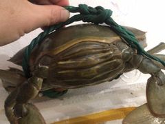 -浙C老邻舍(西城海错店)