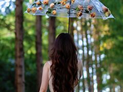 -昆山城市生态森林公园