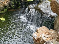 -白水寺森林公园