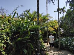 -呀诺达热带雨林