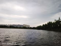 -洋湖国家湿地公园