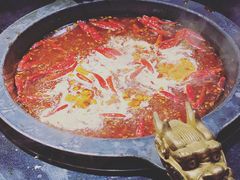 -蜀大侠火锅(建设路第五大道店)