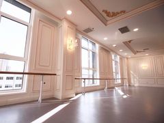 -芭蕾仙子 FairyBallet 少儿芭蕾舞蹈中心(丽都旗舰店)