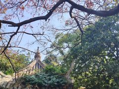 -江心屿景区