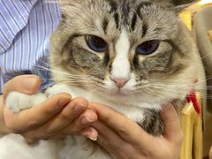 -白兔子密室(长寿路店)