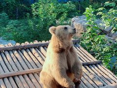 -济南野生动物世界