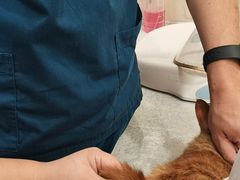 -萌兽医馆·犬猫专科·眼科中心·宠物医院(朝阳门分院)