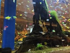 -大江户·温泉洗浴(浑南店)