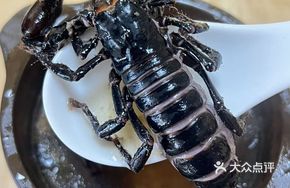 Majestic Scorpion King Lingzhi Soup