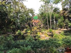 -绿光森林餐厅
