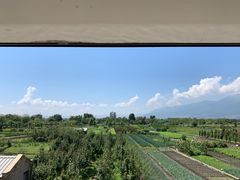 景观位-翠田Green Field Kitchen