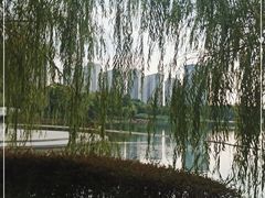 -南翔镇银翔湖公园
