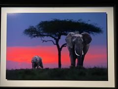 -罗红摄影艺术馆