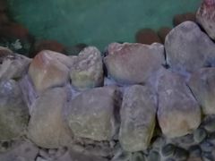 -嘉和K6温泉微度假