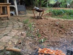 iphone_upload_pic-枫露马术学院(藏书校区)