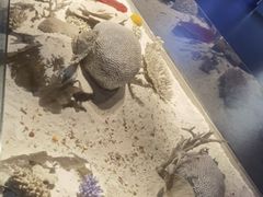 -重庆欢乐海底世界