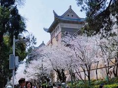 -武汉大学-樱园