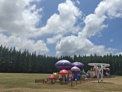 -黄海国家森林公园