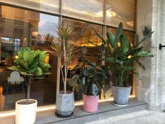 门面-生如夏花泰式火锅(西村黑金店)