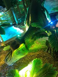 -恐龙探索乐园(磁器口店)