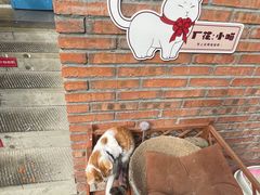 -龙厂长老火锅(抚琴店)