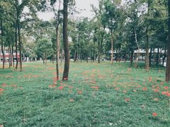 -钟山体育运动公园