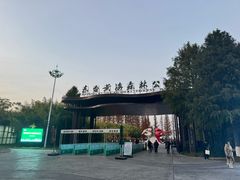 -黄海国家森林公园