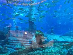 -亚特兰蒂斯•OSSIANO奥西亚诺海底餐厅