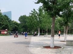 -大兴滨河森林公园