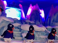 -帝企鹅自助餐厅•儿童岛•真企鹅(长隆企鹅酒店)