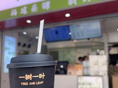 -一树一叶·福建茶档(石鼓路店)