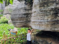 -梭布垭石林景区