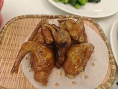 -五谷芳乳鸽王(海景店)