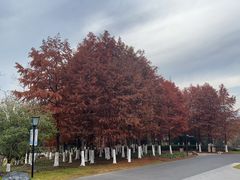 -茅山东方盐湖城景区