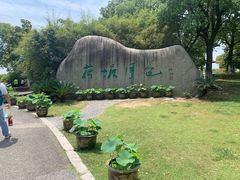 -荷塘月色湿地公园·向阳花洲