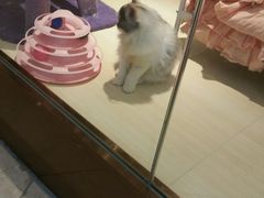 店内环境-上海尚嘉中心