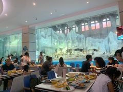-帝企鹅自助餐厅•儿童岛•真企鹅(长隆企鹅酒店)