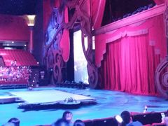 -珠海横琴长隆《卡卡虎奇遇记》