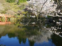 -醍醐寺