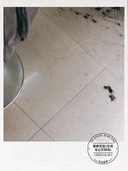 -Mentor Hair Salon