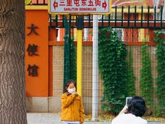 -三里屯东五街银杏大道