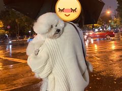 -佳雯宠物医院(金华南路分院)