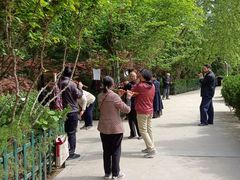 -西安市长乐公园