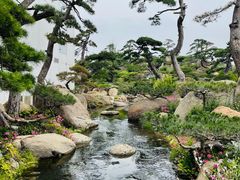 -罗红摄影艺术馆